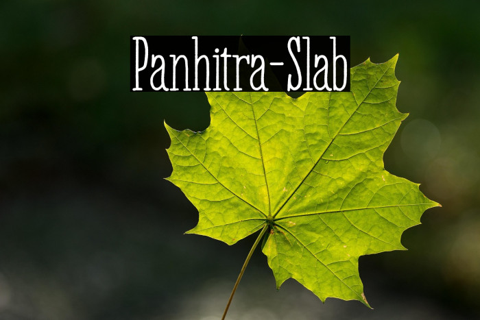 Panhitra-Slab Example 1