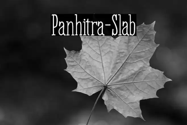 Panhitra-Slab Font examples