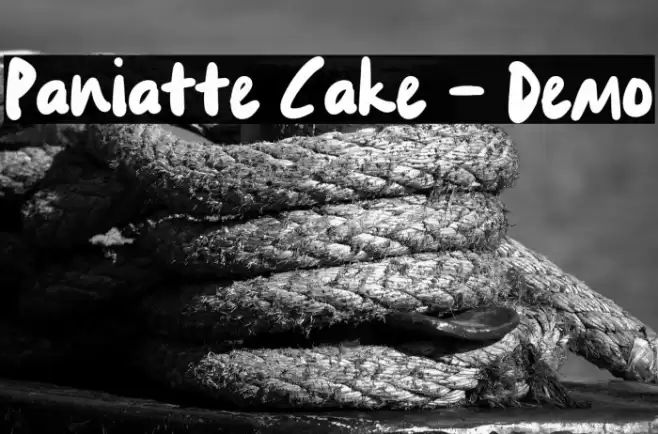 Paniatte Cake - Demo Caratteri examples