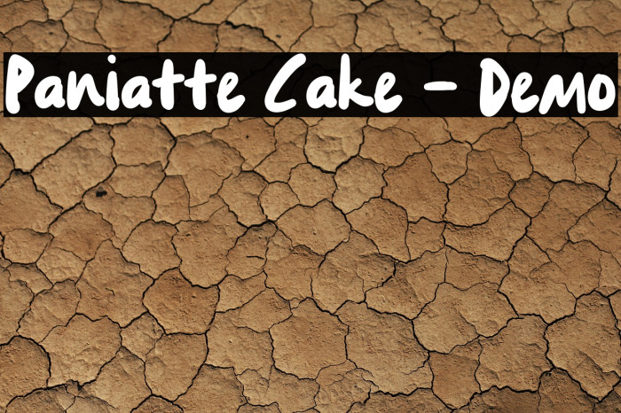 Paniatte Cake - Demo Example 3