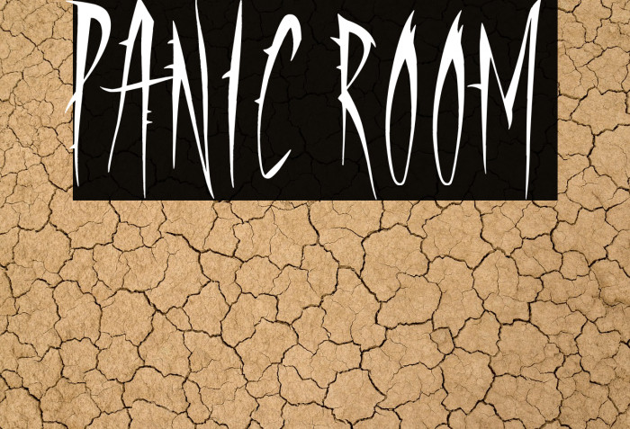Panic Room Example 1
