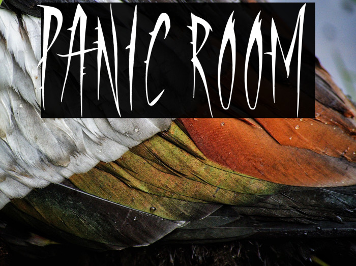Panic Room Example 2
