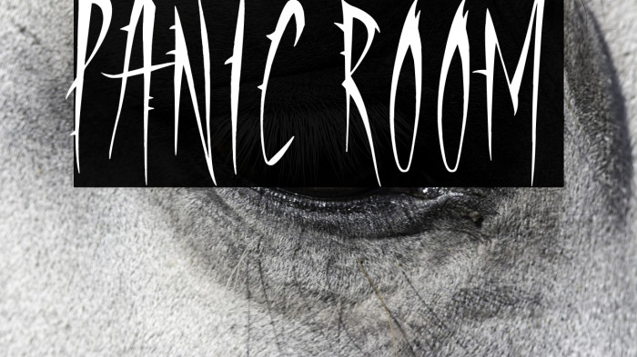 Panic Room Example 3