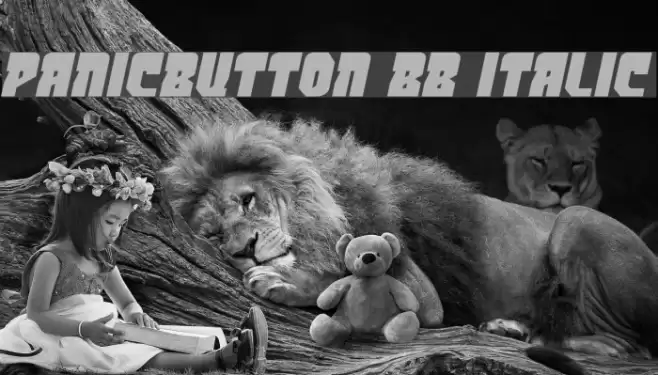 PanicButton BB Italic Font examples