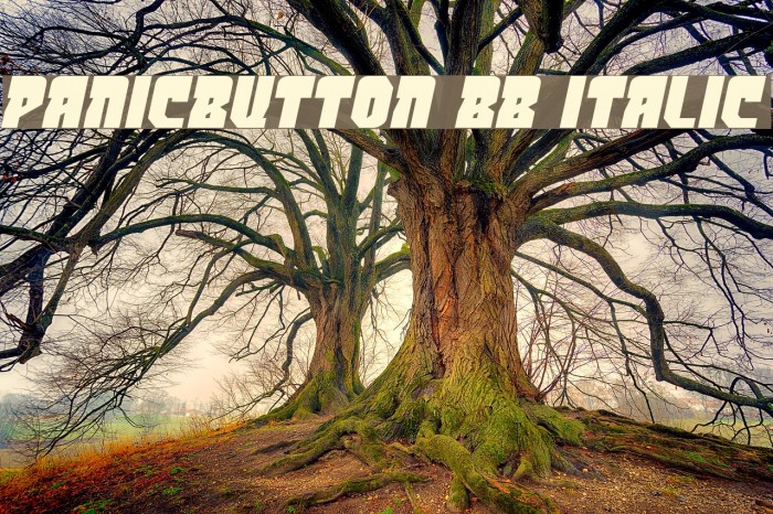 PanicButton BB Italic Example 2