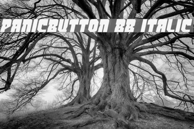 PanicButton BB Italic Font examples