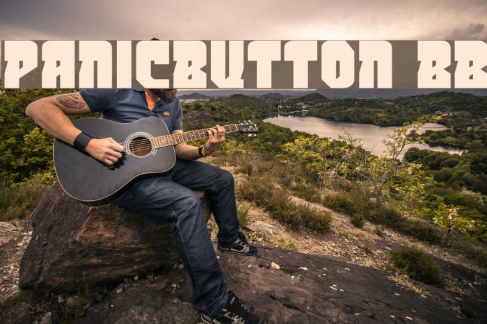 PanicButton BB Font examples