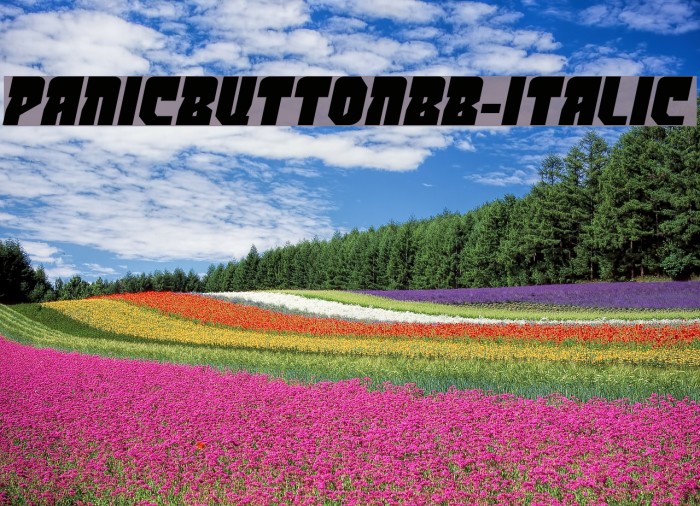 PanicButtonBB-Italic Font examples