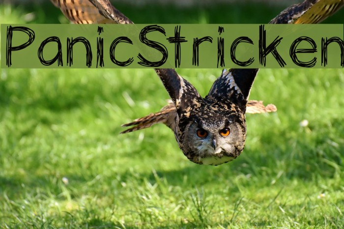 PanicStricken Font examples