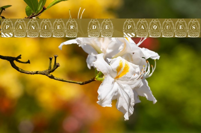 Panier de Paques Font examples