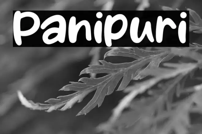 Panipuri Font examples