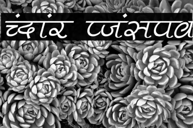 Pankaj Italic Fuentes examples