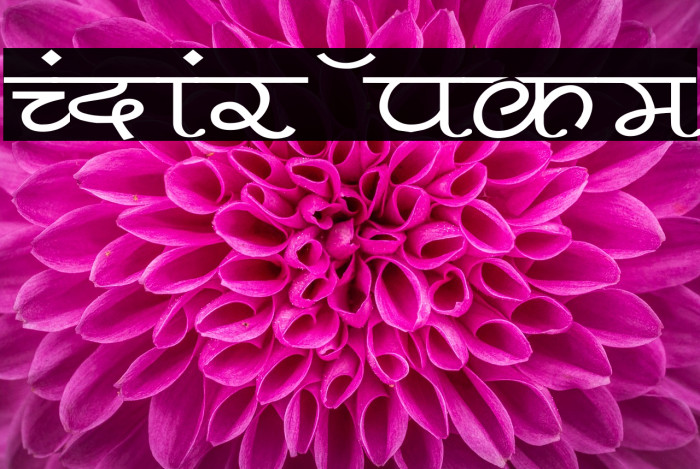 Pankaj Wide Font examples