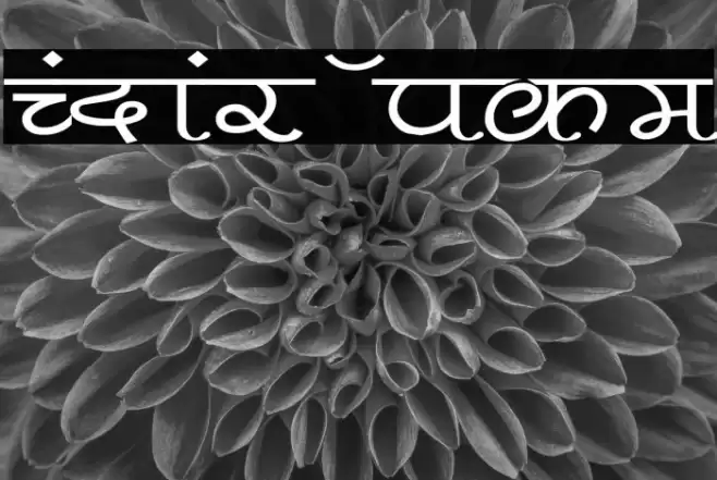 Pankaj Wide Fonte examples