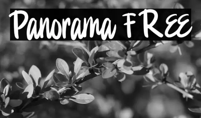 Panorama FREE Font examples