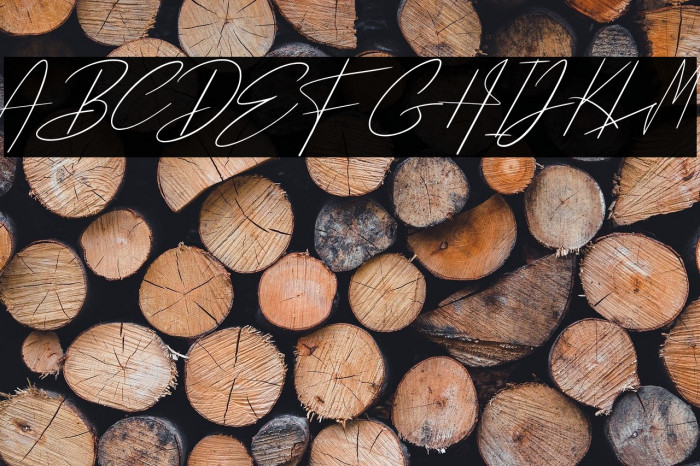 Pantai Bali Example 1