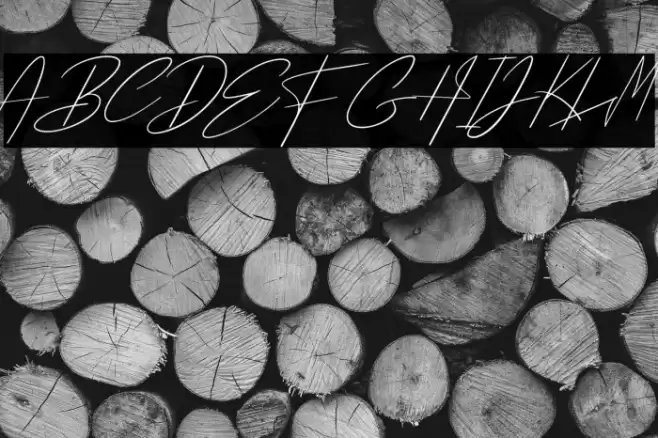 Pantai Bali Font examples