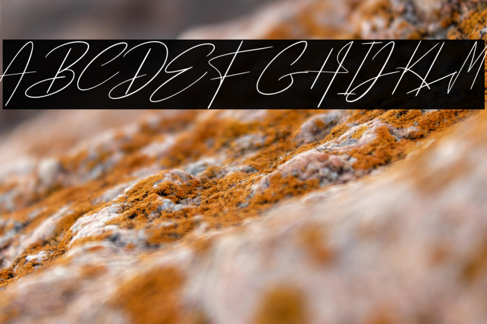 Pantai Bali Example 2