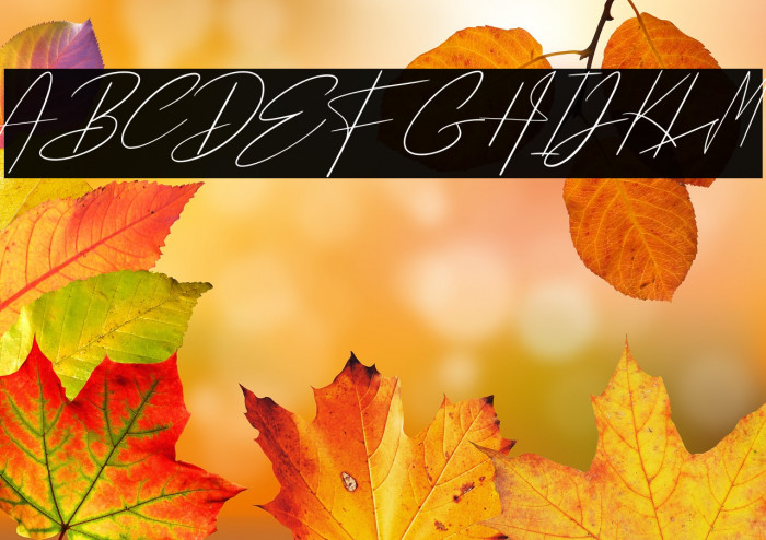 Pantai Bali Example 3