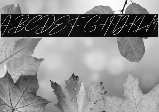 Pantai Bali Font examples