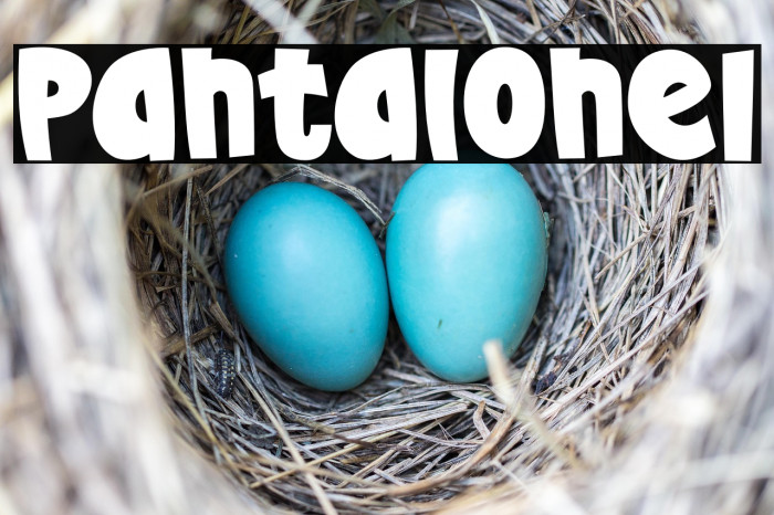 Pantalone1 Example 1