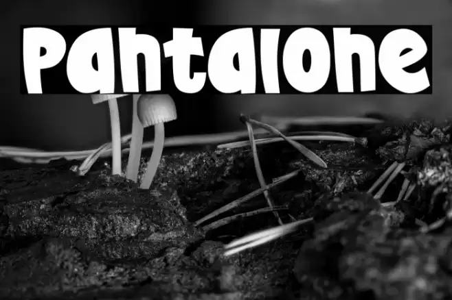 Pantalone Caratteri examples