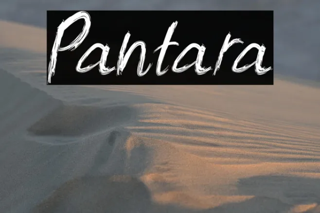 Pantara Example 1