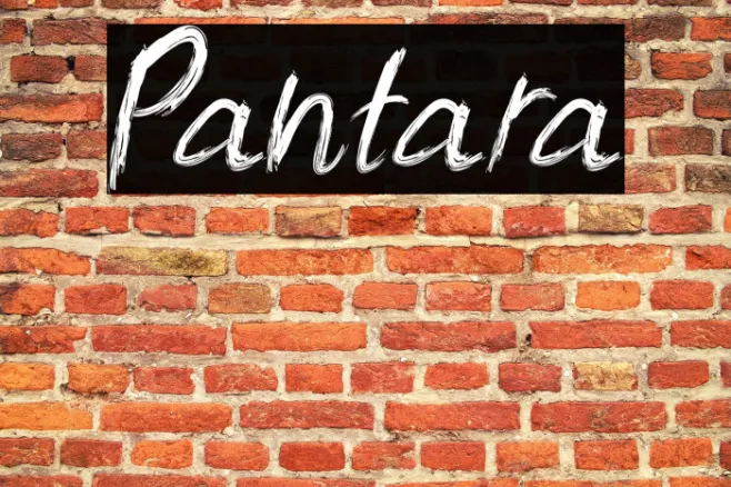 Pantara Example 2