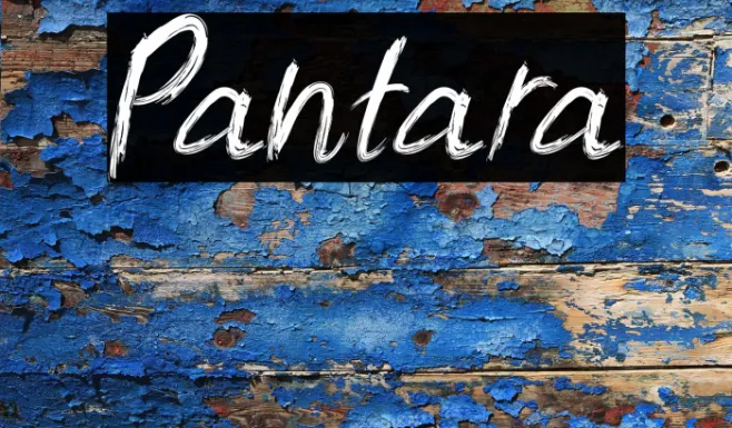 Pantara Example 3