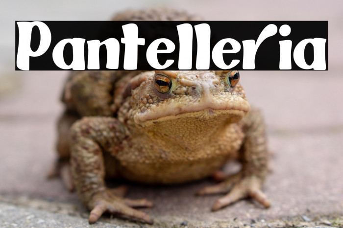 Pantelleria Example 1