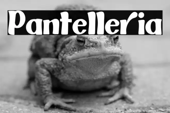 Pantelleria Font examples