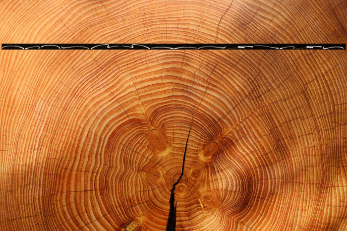 PanterickSwash Example 1