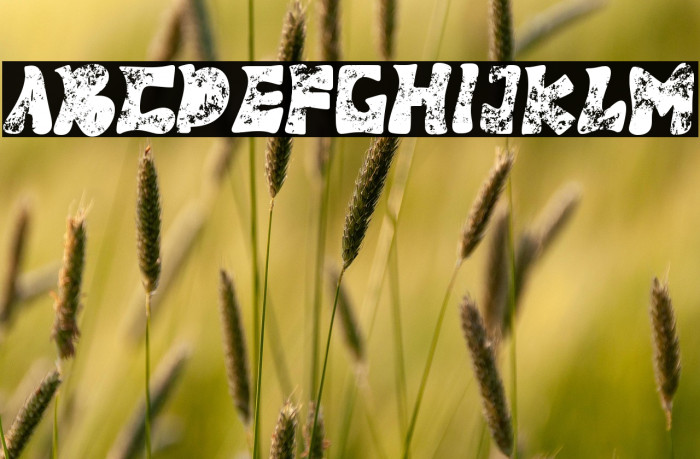 Panther Fighter Example 2