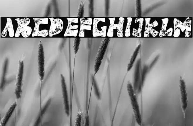 Panther Fighter Font examples