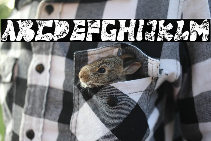 Panther Fighter Example 3