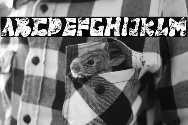 Panther Fighter Font examples