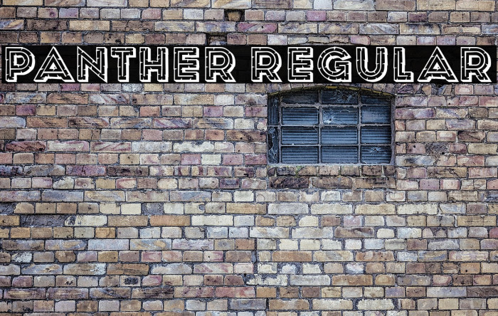 Panther Regular Example 1