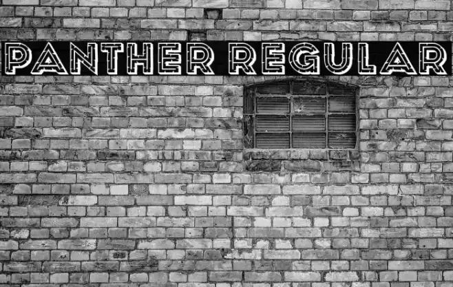 Panther Regular Fuentes examples