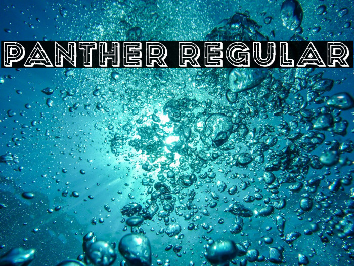 Panther Regular Example 2