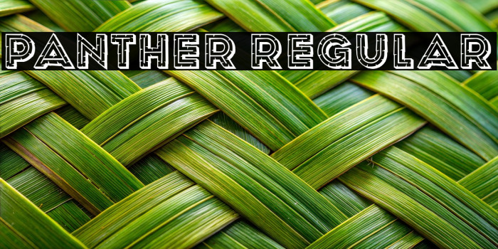 Panther Regular Example 3