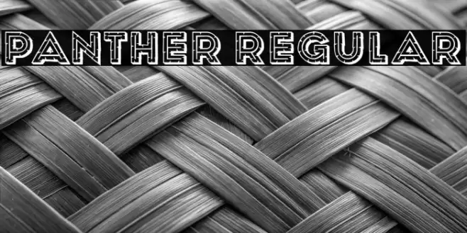 Panther Regular Fuentes examples