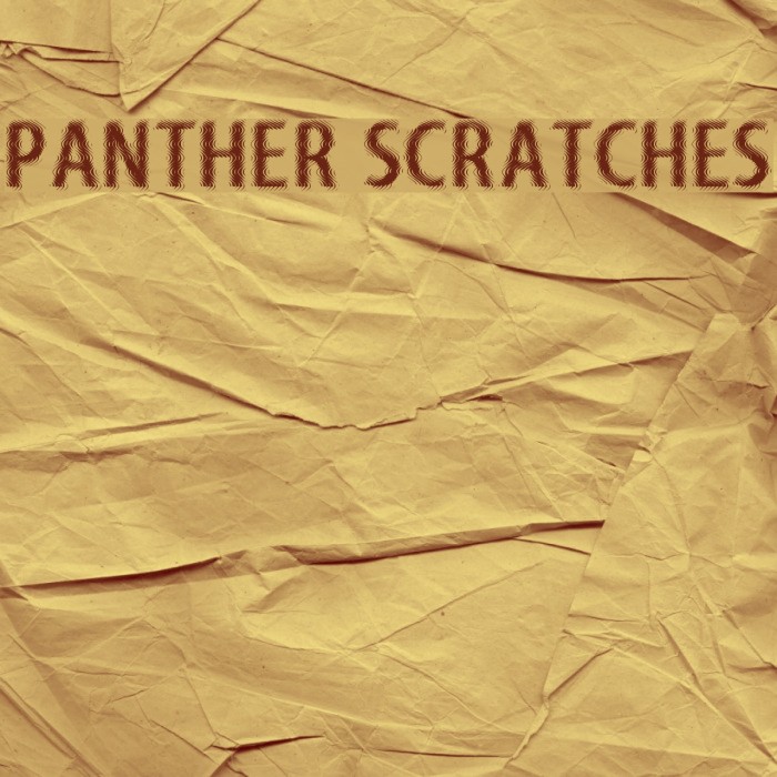 Panther Scratches Polices examples