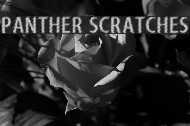 Panther Scratches Font examples