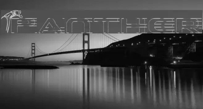 Panther Polices examples