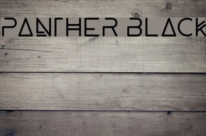 Panther Black Example 1