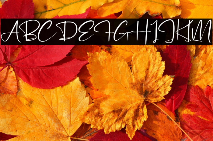 Pantherdam Signature Example 2