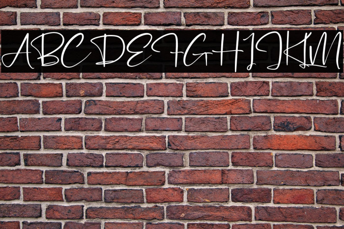 Pantherdam Signature Example 3