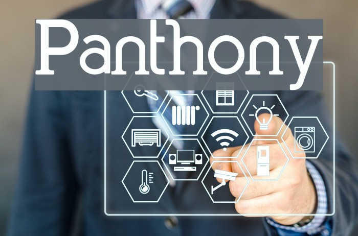 Panthony Font examples