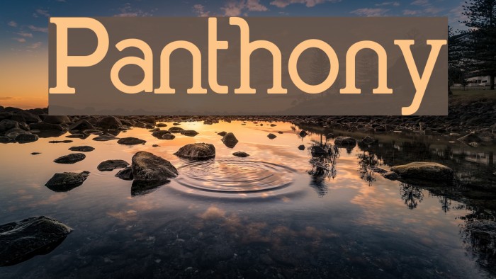 Panthony Font examples