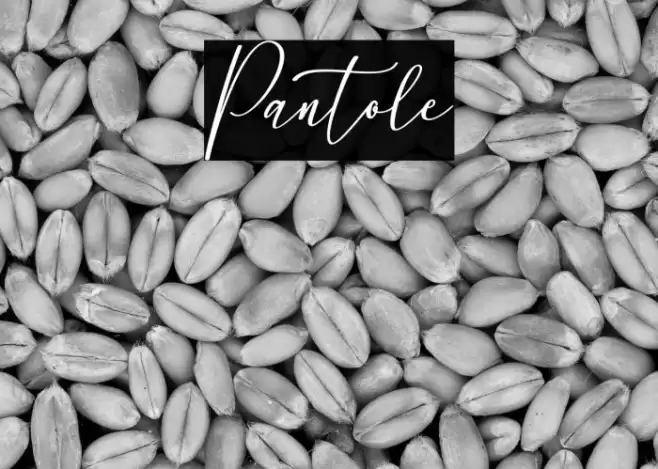 Pantole Font examples